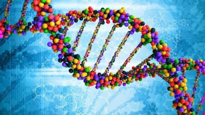 Scoperto Super Dna in laboratorio. Servirà a riconoscere anche forme di vita aliene