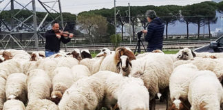 La scuola Milani in prima linea per la difesa di ambiente e salute