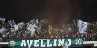 Avellino Calcio, anche il Tar dice no: si ripartirà dai dilettanti