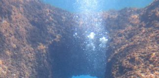 Napoli, progetto SeaRen: alla scoperta del mare e lotta all’inquinamento