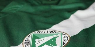 Avellino Calcio, addio serie B: Tar conferma esclusione