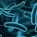 Il Clostridium difficile, un batterio resistente ai disinfettanti. Cosa sapere