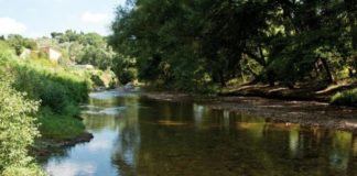 Fiume Cervaro, rischio esondazione: ok a lavori di somma urgenza