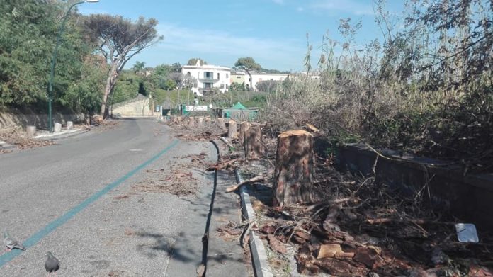 Posillipo, 35 milioni di euro per la riqualificazione delle strade e il verde della collina 