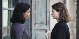 L'Amica Geniale, la biblioteca della quadrilogia intitolata al professore che la creò
