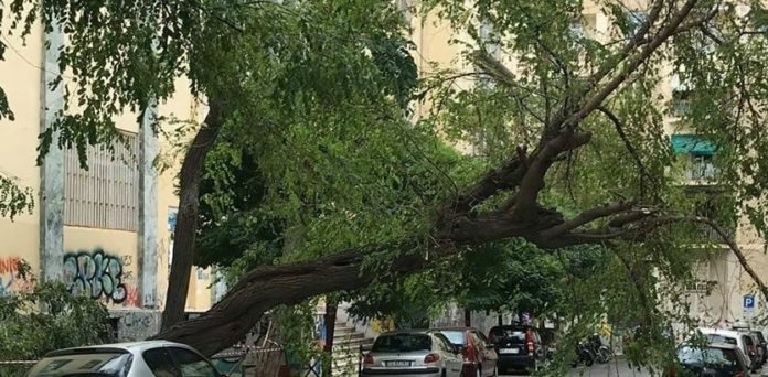 Maltempo a Napoli: chiuse 13 scuole, viale Gramsci e la Villa Comunale