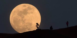 Superluna, l'ultima del 2024 arriva questa sera