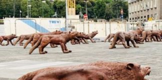 Eventi a Napoli dell’1-2 febbraio: Kobe Memorial Day al Vomero