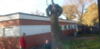 Ponticelli: Rimosso l'albero che si era abbattuto sulla scuola in via Manlio Rossi