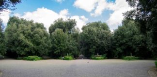 Bosco di Capodimonte: ecco Coltiviamo la bellezza, open Day for Christmas