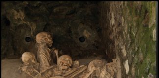 Scavi di Ercolano: rinvenuti i resti di cervello di una vittima dell’eruzione del 79 d.C.