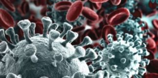 Studio sul Coronavirus: contagia fino a 4,5 metri e resta in aria almeno 30 minuti