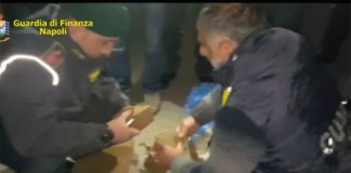 Cocaina dal Sud America alla Ndrangheta: arrestato il latitante Rubino