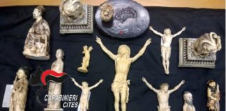 Torre del Greco, sculture in avorio ricavate da zanne di elefante: antiquario denunciato