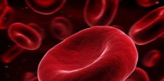 Ipercovid: uno studio sull’efficacia terapeutica delle immunoglobuline iperimmuni