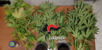 Ischia, affittanze abusive e sostanze stupefacenti: sei denunce