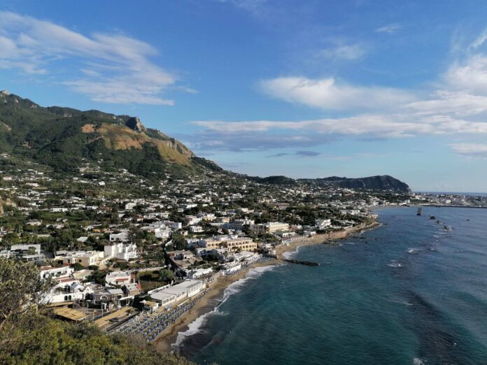 Ischia, oltre 90 tartarughe sono nate su una spiaggia a Forio