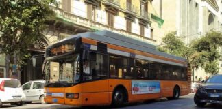 ANM: dal 19 novembre parte l’elettrificazione della linea filobus 204