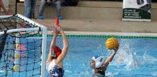 Serie A2 femminile: l'Aktis Acquachiara vince lo scontro diretto contro la Brizz