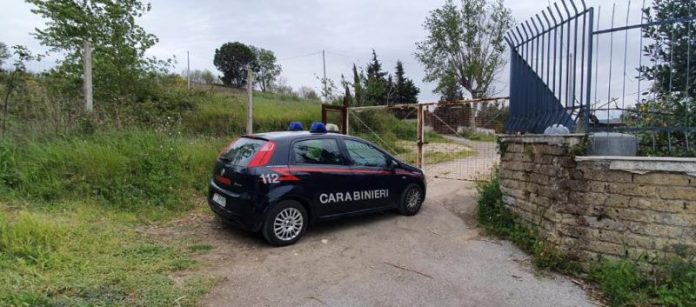 Pianura, lavori abusivi un un fondo del Parco Regionale: 26enne denunciato