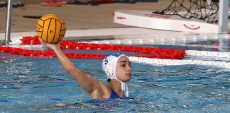 Serie A2 femminile: Aktis Acquachiara a Catania contro Torre del Grifo