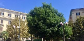 Vomero, tentano di rubare uno scooter in Piazza Vanvitelli: in manette padre e figlio (I NOMI)