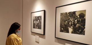 Frida Kahlo al Pan si conferma un'icona contemporanea