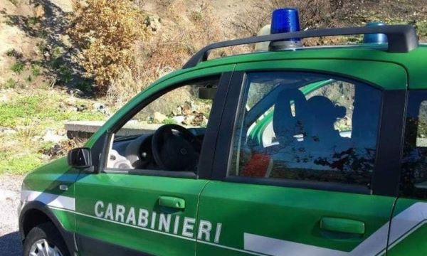 Caiazzo, rogo in area da 6000 mq: Forestali denunciano due persone