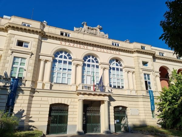 Stazione Zoologica Anton Dohrn, l'Aquarium compie 150 anni: ingresso gratuito nel weekend