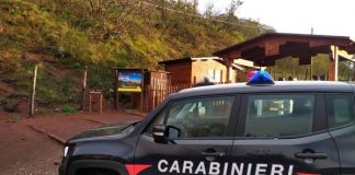 Torre del Greco, bagarinaggio nel Parco Nazionale del Vesuvio: denunciato un 54enne