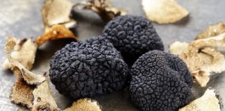 Sagre in Campania, gli eventi dal 21 al 23 ottobre