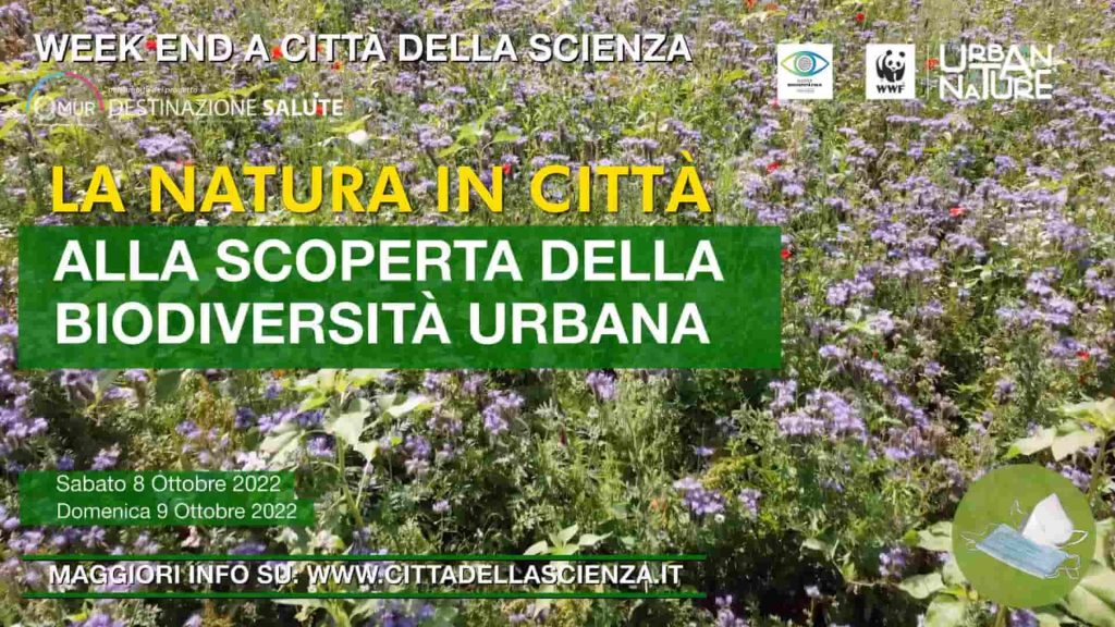 Eventi Napoli 8-9 ottobre: Giornata Nazionale delle Famiglie al Museo