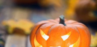 Ancora tanto divertimento al Magic Park di Caserta, la nuova area allestita nei Giardini di Maria Carolina a pochi passi dalla Reggia di Caserta dove in occasione del prossimo Halloween (in Italia la festività legata a Tutti i Santi) per la mostra “Zucche Reali” sarà possibile rivivere tra “dolcetti e scherzetti” tutte le emozioni da brivido della popolare ricorrenza. Per tutti a fine mese con trampolieri, palloncini e momenti ricchi di mistero, il fantastico regno delle Zucche di tingerà di magia per tanti momenti tutti da ricordare. Aperta fino al prossimo 6 novembre, con “Zucche Reali” abbinata alla parata dei “SuperHeroes &Co.” amati dai grandi e dai piccini, a Caserta è possibile godere di un evento pieno di fascino curato e organizzato da Alta Classe Lab con la Next Event e We Share e promosso su Caserta dalla Ita Promotion. Per i visitatori, aperta tutti giorni nel “Magic Park” di Via Giulio Douhet 2014 a Caserta, a presentarsi nella sua invitante bellezza è una doppia mostra visitabile con un unico biglietto grazie alla quale ci si potrà avvicinare alle statue dei più famosi supereroi e aggirarsi nel “fantastico mondo delle zucche”. In quello che è stato definito “il Reale Parco del Fantastico”, attraverso un percorso disseminato di trattori di paglia, balle di fieno, spaventapasseri e zucche colorate, in questi giorni ispirato al mondo di Halloween, i visitatori saranno protagonisti di tante attività creative e divertenti mentre i più piccini, muniti di un carrellino rosso, potranno passeggiare nei campi, districarsi dal divertente labirinto realizzato con centinaia di balle di fieno; scegliere e raccogliere la zucca da intagliare o decorare negli appositi laboratori attrezzati; ascoltare le favole narrate dal “Racconta Storie” e poi, una volta giunti nell’area cooking, ultimare, con l'ausilio di tanti simpatici assistenti o degli stessi genitori, la decorazione di un delizioso biscotto da portare a casa. La mostra è aperta dal lunedì al venerdì dalle 10 alle 13 e dalle 15 alle 20 e il sabato, la domenica e festivi dalle 10 alle 21 mentre per Halloween sarà aperta tutto il giorno dalle 10 alle 22 con orario continuato. Per Info e contatti www.zuccherealicaserta.it info@zuccherealicaserta.it e 3518846349.