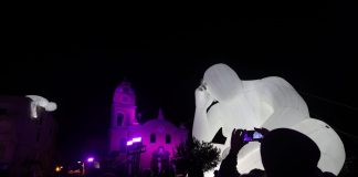 Procida 2022, la cerimonia di chiusura illumina la Campania
