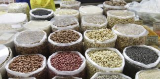 Sagre ed eventi in Campania dal 12 al 14 maggio, tutti gli appuntamenti