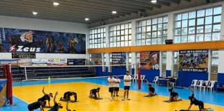 Oplonti Volley, primo incontro al Palazzetto dello Sport di Torre Annunziata