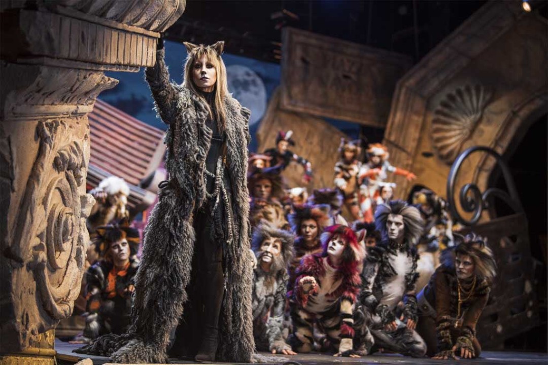 Cats il musical dei record dal 3 a 5 novembre al Palapartenope