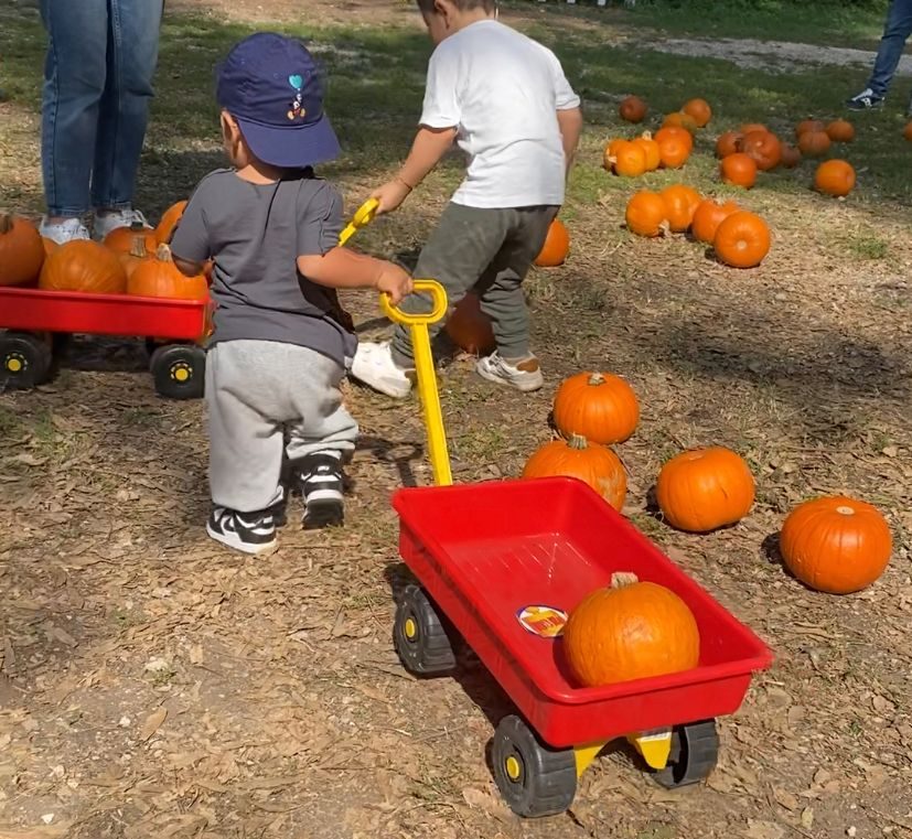 Giochi di Zucca alla Mostra D'Oltremare tra la didattica e il divertimento