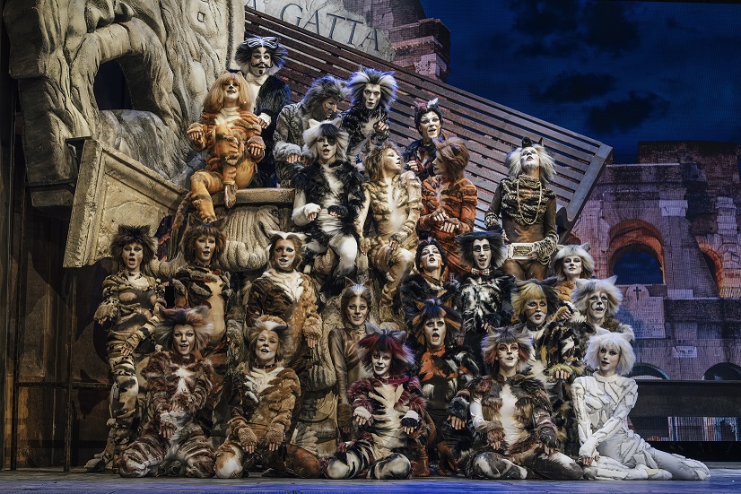 Cats il musical dei record arriva al Teatro Palapartenope