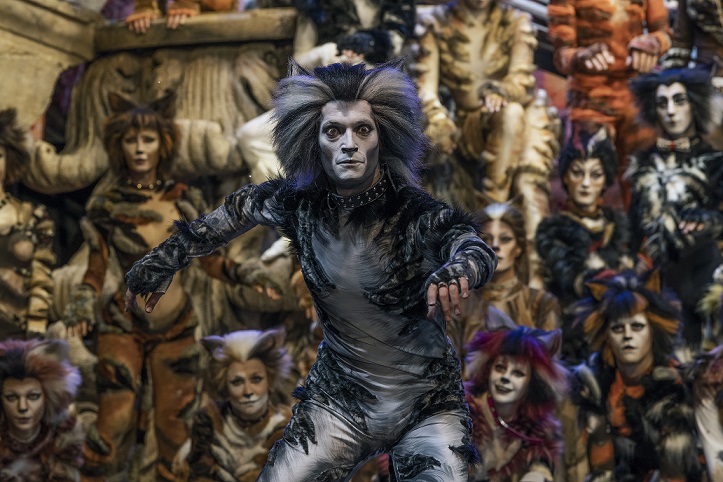 Cats il musical dei record arriva al Teatro Palapartenope