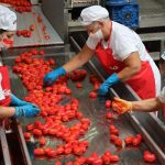 A Nocera Inferiore l’edizione Il Mio San Marzano di Solania