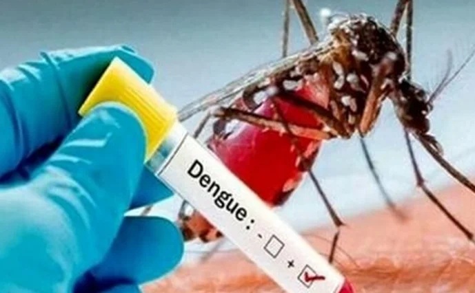 Dengue delle zanzare, allerta per le Regioni: la circolare