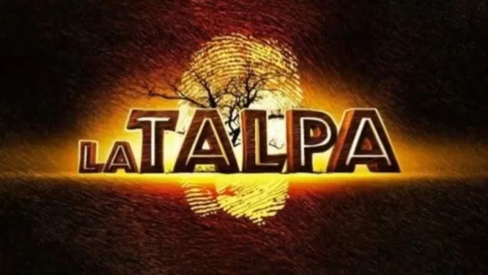 La Talpa 2025, anticipazioni: il programma pronto a tornare con Ilary Blasi alla conduzione
