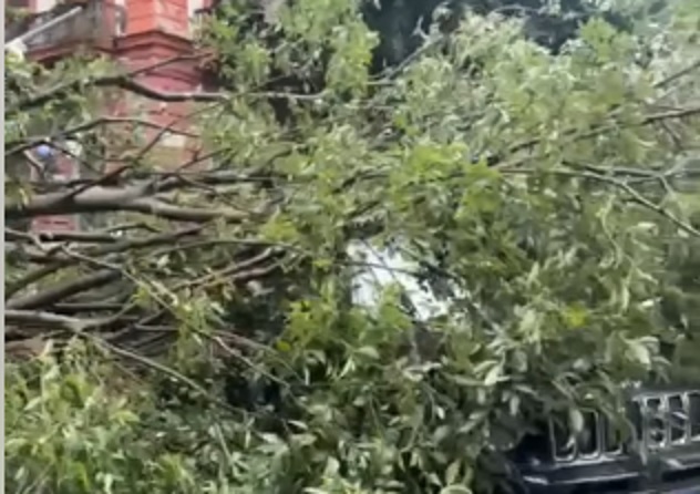 Vomero, albero cade per il maltempo: tragedia sfiorata