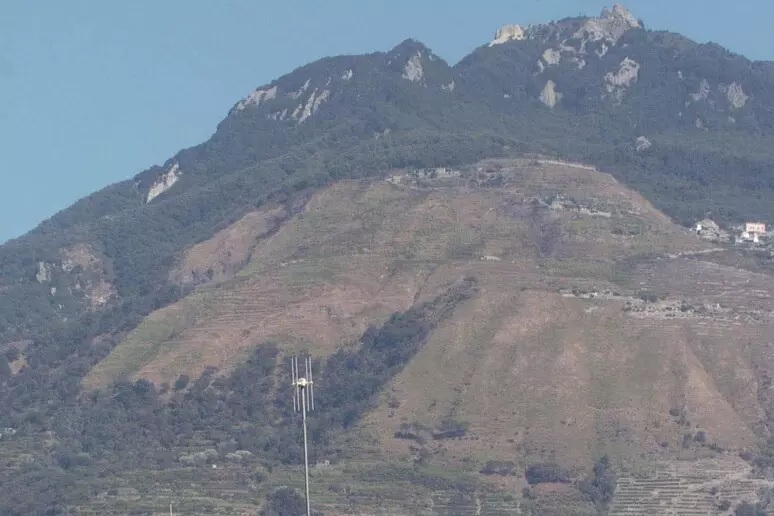 Ischia, studenti vanno a pulire il bosco e trovano 5 chili di hashish