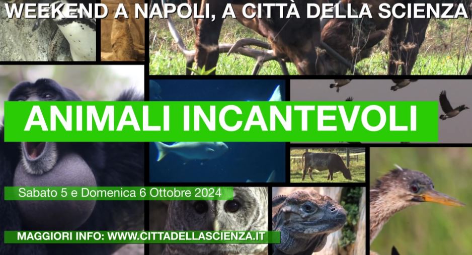 A Città della Scienza in scena il mondo animale con visite guidate e laboratori