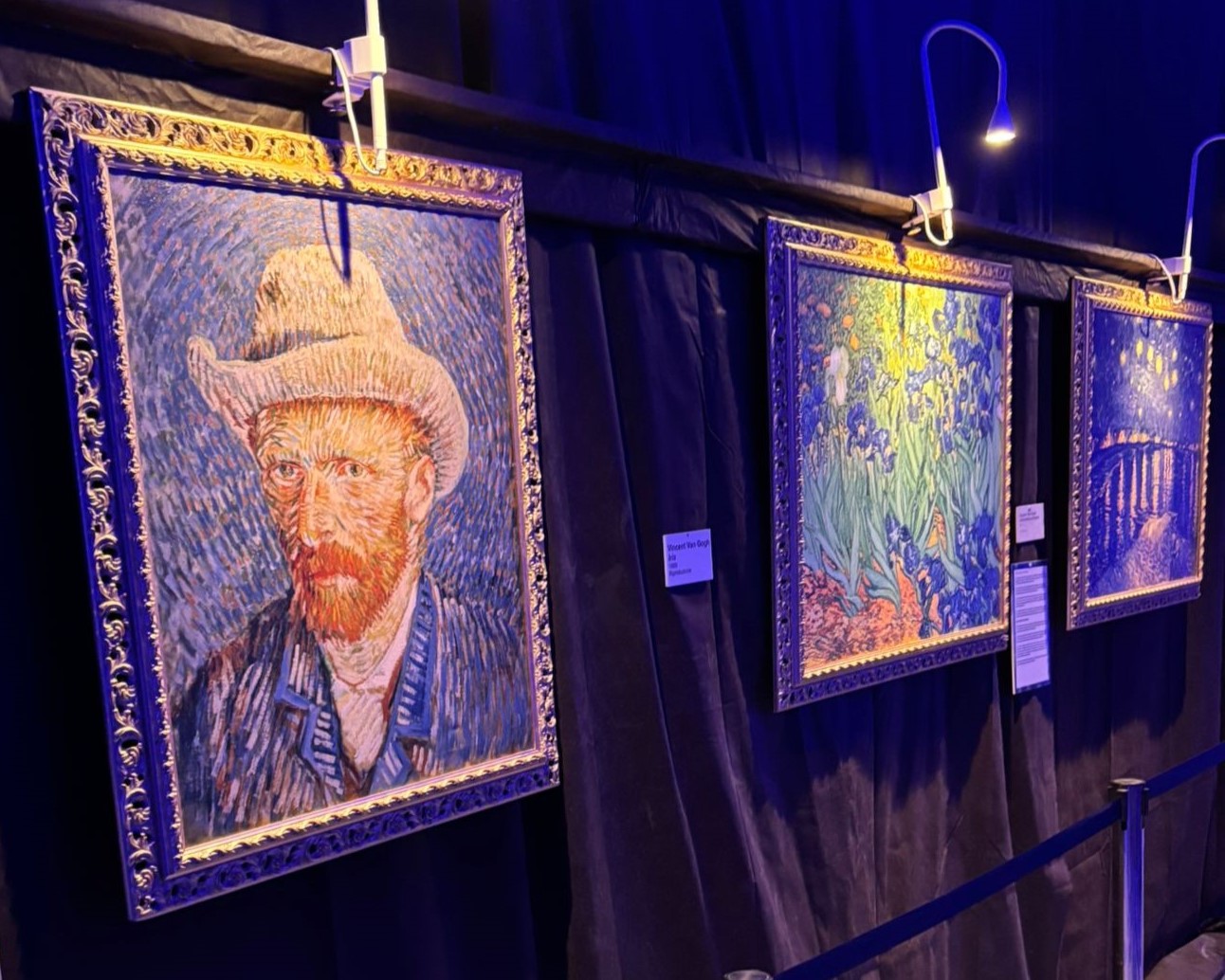 All’Arena Flegrea Indoor arriva la mostra VAN GOGH THE IMMERSIVE EXPERIENCE