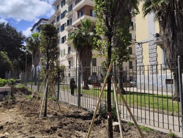 Napoli, continua la ripiantumazione: oltre 4.500 nuovi alberi e arbusti entro il 2025