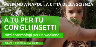 Città della Scienza, A tu per tu con gli insetti: tutti entomologi per un weekend